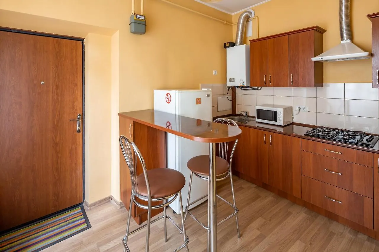 Apartment On Yana Zhizhky 利沃夫
